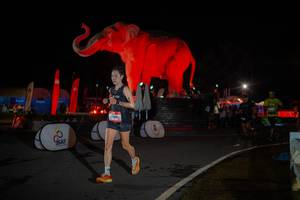 BIB: 
                            <button type="button" onclick="openModal(26551955)" class="btn btn-primary btn-sm float-right btn-popup" data-toggle="modal" data-target=".modal-high-quality">
                        <i class="fas fa-shopping-cart"></i> Add to Cart
                    </button>
                                            <button type="button" onclick="isThisMe(26551955, true)" class="btn btn-success btn-sm float-right btn-popup btn-isme hidden" data-toggle="tooltip" data-placement="bottom" title="นี่คือรูปของคุณใช่ไหม คลิกที่นี่เพื่อเอาเข้าอัลบั้ม">
                        <i class="fas fa-plus"></i> Add to album
                    </button>
                    <button type="button" onclick="isThisMe(26551955, false)" class="btn btn-warning btn-sm float-right btn-popup btn-isnotme hidden">
                        <i class="fas fa-ban"></i> Remove from album
                    </button>